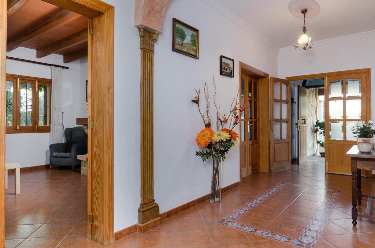 Yourhouse Els Niguls Сasa de vacaciones